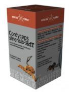 C&aacute;psulas Cordyceps Hdt 62