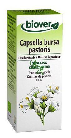 Tm Capsella Bursa pastoris (Shepherd Canvas) 50 ml.