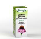 Echinacea purpurea (equinácea) Tm 100 ml.