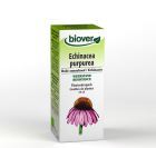 Echinacea purpurea (equinácea) Tm 100 ml. Echinacea purpurea (equinácea) Tm 100 ml.