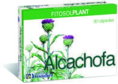 30cap Alcachofra.