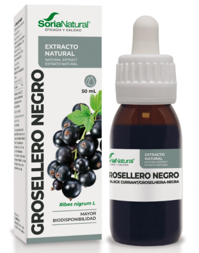 Soria Natural Extrato Natural de Groselha Preta 50 ml