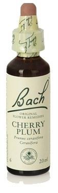 Original Flower Essences Bach 6 Cereja Ameixa 20 ml