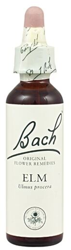 Bach 11 Olmo 20 ml