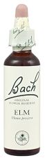 Bach 11 Olmo 20 ml