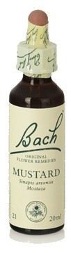 Bach 21 Mostarda 20 ml