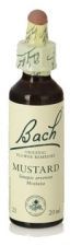 Bach 21 Mostarda 20 ml