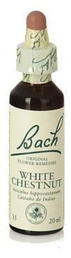 Bach 35 Castanha Branca 20 ml