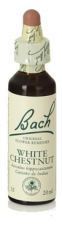 Bach 35 Castanha Branca 20 ml