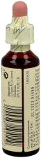 Bach 35 Castanha Branca 20 ml