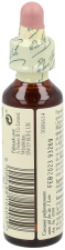 Bach 29 Estrela de Belém 20 ml