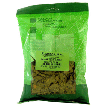 Plameca Folhas inteiras de Gayuba