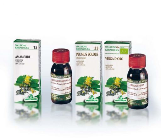 Ang&eacute;lica (Ang&eacute;lica Archangelica) 50 ml