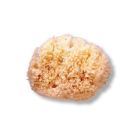 Esponja Natural M&eacute;dia