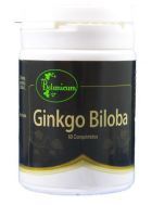 Ginkgo Biloba 60 comprimidos