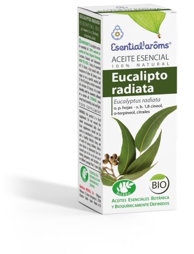 &Oacute;leo Essencial de Eucalipto Radiata 10 ml