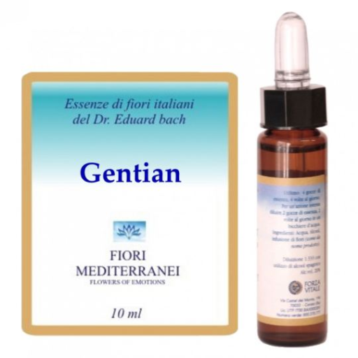 Fm 12 Genciana 10 ml