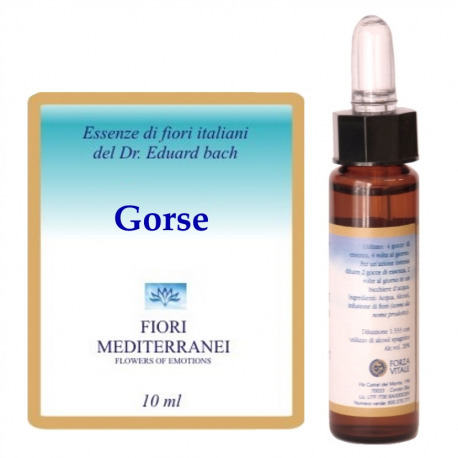 Fm 13 Gorse 10 ml