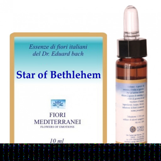Fm 29 Estrela de Bel&eacute;m 10ml