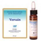 Fm 31 Vervain 10 ml
