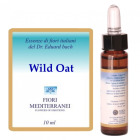 Fm 36 Wild Oat 10 ml