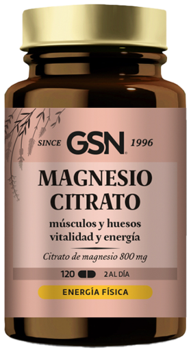 GSN Citrato de Magn&eacute;sio 400 120 Comprimidos