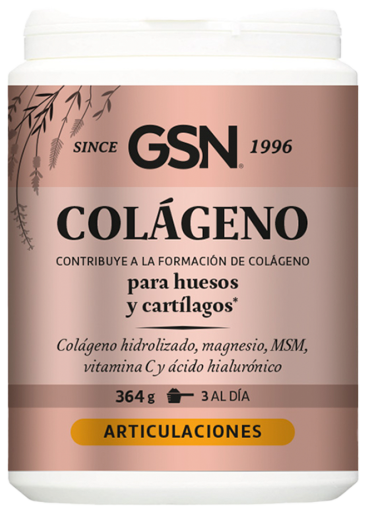 GSN Complexo de Col&aacute;geno 364G Laranja