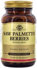 Bagas Repens Saw Palmetto