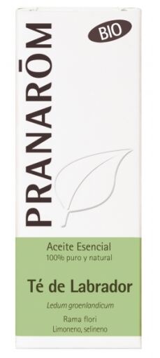 &Oacute;leo Essencial de Ch&aacute; de Labrador Org&acirc;nico 5 ml