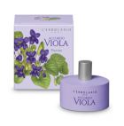 Perfume Viola Accord