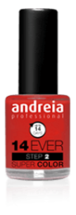 Esmalte 14 Ever