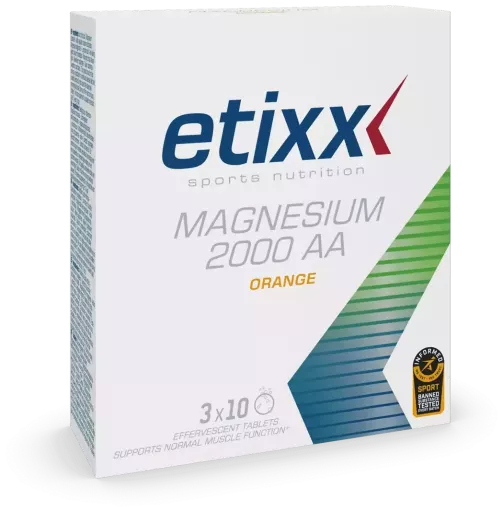 Magn&eacute;sio 2000 AA 3 unidades