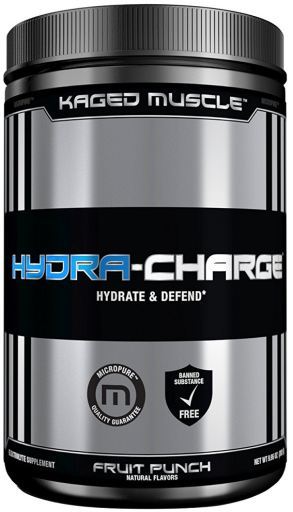 Ponche de Frutas HydraCharge 282 g