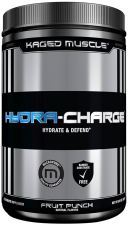 Ponche de Frutas HydraCharge 282 g