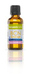 Synergia Bcn Noite de Ver&atilde;o Bio 30 ml