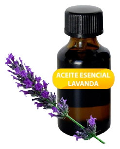 Olio essenziale di lavanda