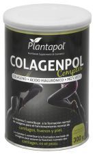 Complexo de Col&aacute;geno 300 gr