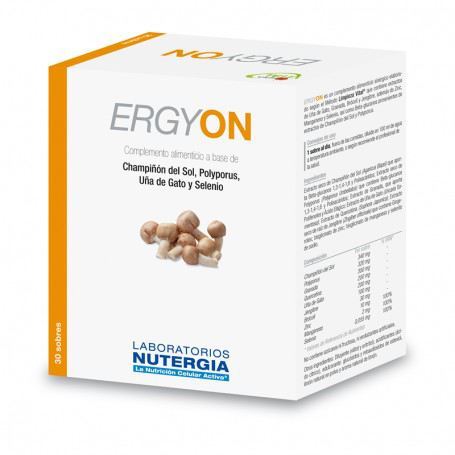 Ergyon 30 Envelopes
