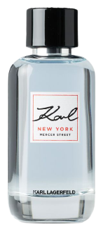 Eau de toilette spray New York Homme 100 ml