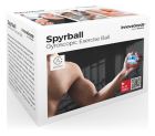 Spyrball Gyro Ball Training