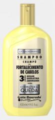 Shampoo Fortalecedor Extraordin&aacute;rio 430 ml