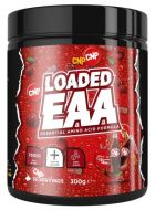EAA carregado 300 gr