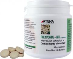 Polyporus Mrl 500 mg 90 comprimidos