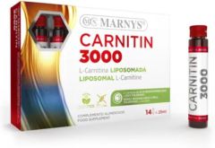 Carnitina 3000 25 ml x 14 frascos