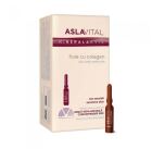 Ampolas de Col&aacute;geno 10 x 2 ml
