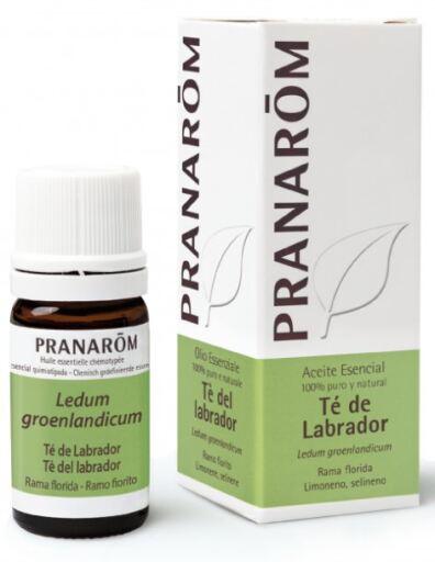 &Oacute;leo Essencial de Ch&aacute; Labrador 5 ml