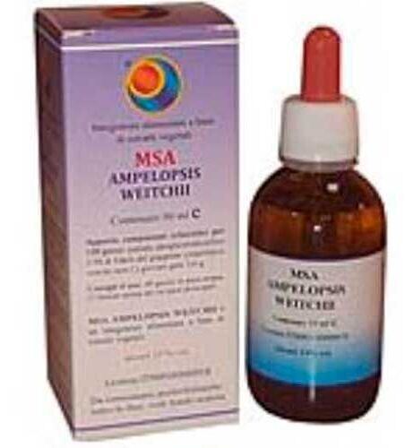 Msa Betula Pubencens Brotos 50 ml