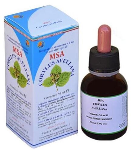 Herboplanet Msa Bot&otilde;es de Avel&atilde; Corylus 50 ml