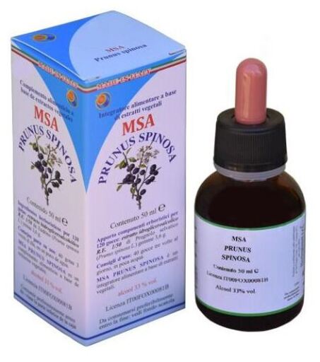 Herboplanet Msa Bot&otilde;es Prunus Spinosa 50 ml