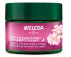 Creme de Noite Suavizante de Rosa Mosqueta e Chá Branco 40 ml Creme de Noite Suavizante de Rosa Mosqueta e Chá Branco 40 ml